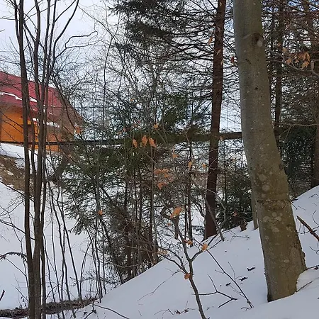 Welcome To The Dream House Gasthof *